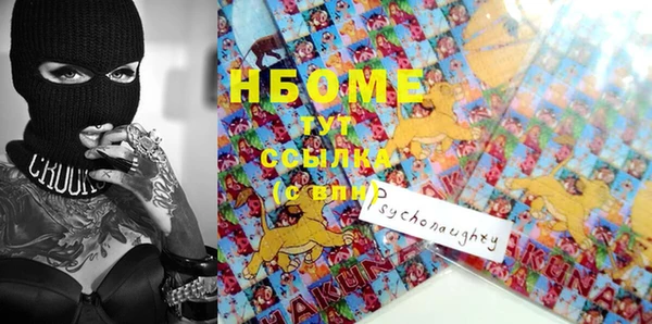 сатива Новокубанск
