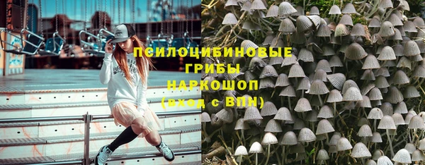 бошки Абаза