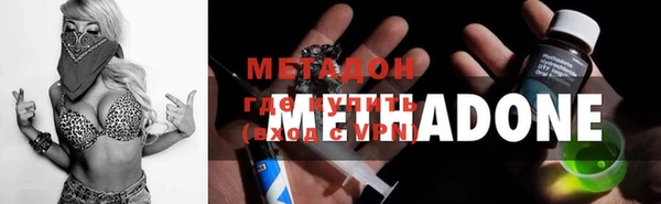 сатива Новокубанск