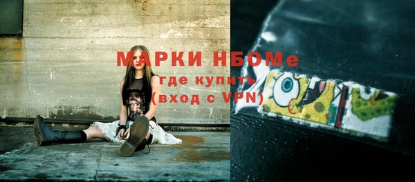 сатива Новокубанск