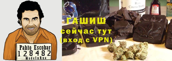 сатива Новокубанск