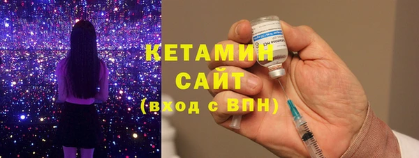 сатива Новокубанск